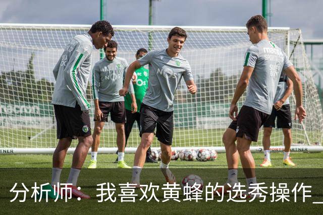 分析师：我喜欢黄蜂的选秀操作 施泰因巴赫简直是个内线巨兽